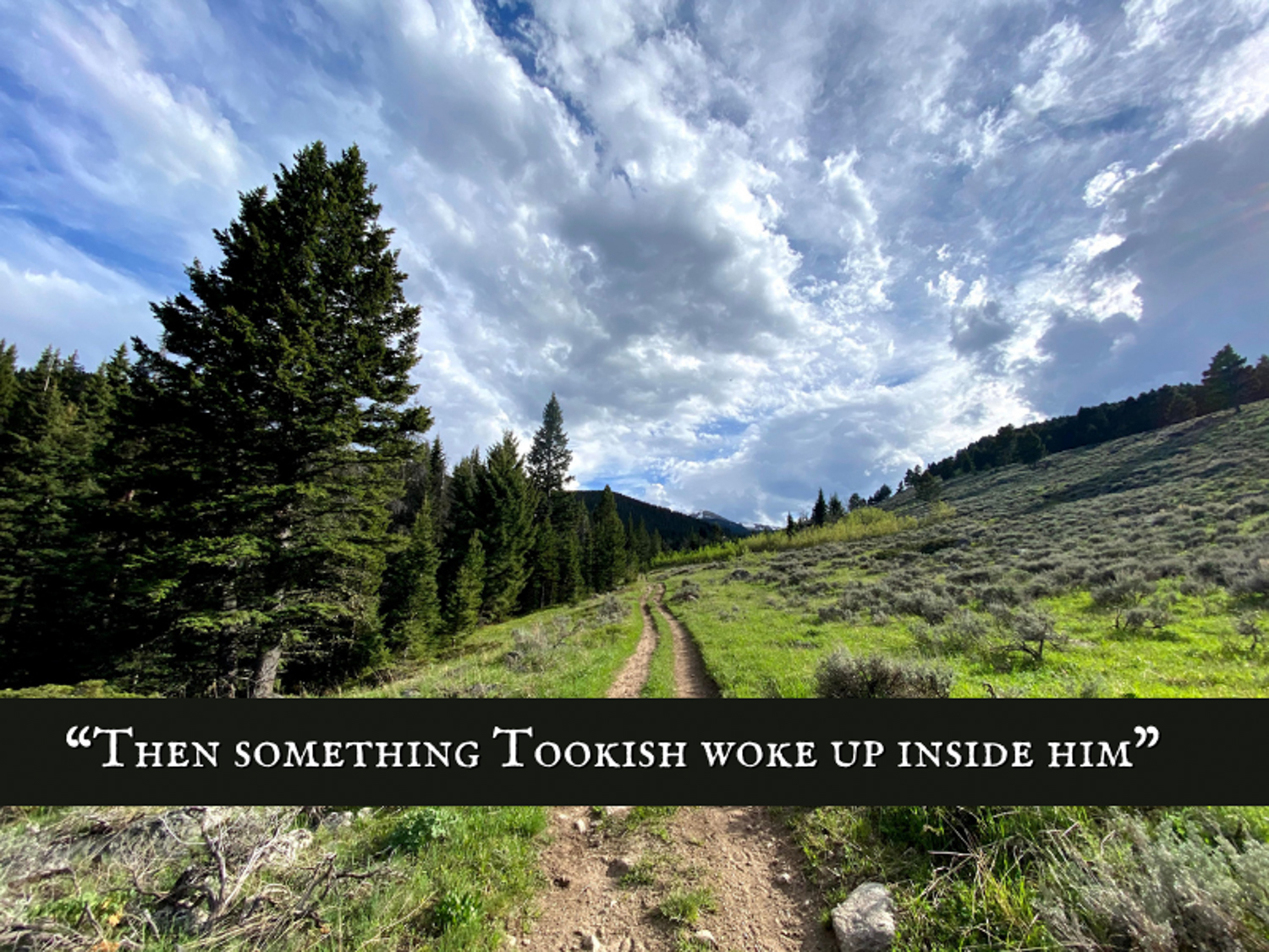 Tookish Hearted GO Website JPG